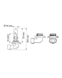 Лампочка 12V 60W — HB3 — P20D HELLA