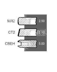 Комплект поршневих кілець Perkins Ø 101.05 MM - 747428M91