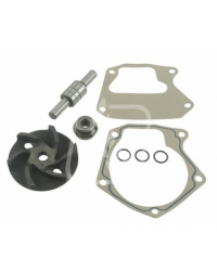 Ремкомплект помпи John Deere AR55619, 131-52