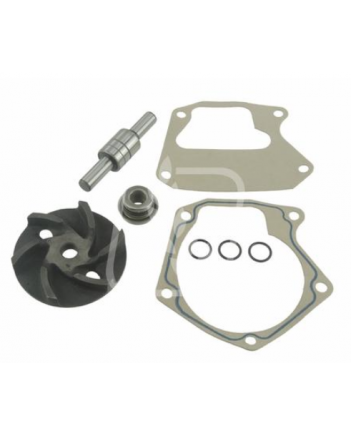 Ремкомплект помпи John Deere AR55619, 131-52