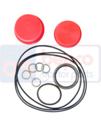 Ремкомплект орбітрола Massey Ferguson 1810503M92, 9970369